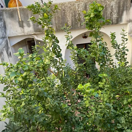 Casetta Zia Tetti Apartment