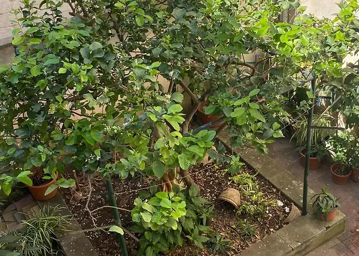 Lägenhet Casetta Zia Tetti